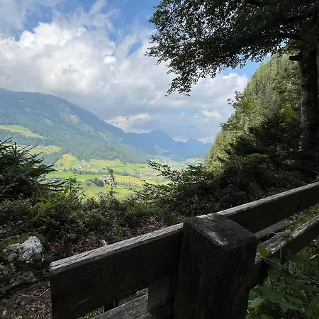 Apartmán Niederbergerhof Unken