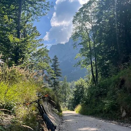 Apartmán Niederbergerhof