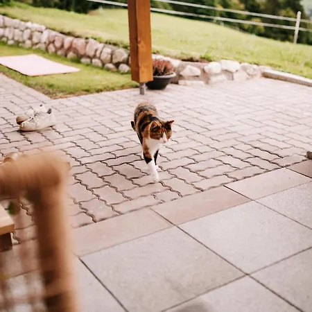 Apartmán Niederbergerhof *