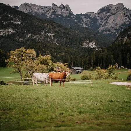 Niederbergerhof Apartament *