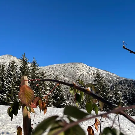 Niederbergerhof * Unken