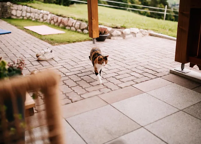 Apartamento Niederbergerhof *