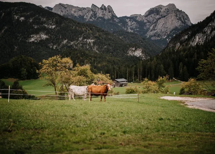 Niederbergerhof Apartamento *