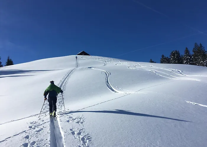 Niederbergerhof Apartamento *