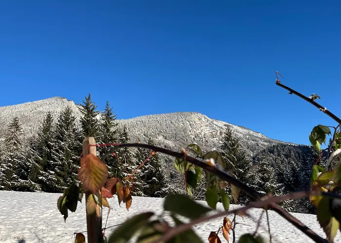 Niederbergerhof * Unken